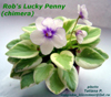  Rob's Lucky Penny (chimera)