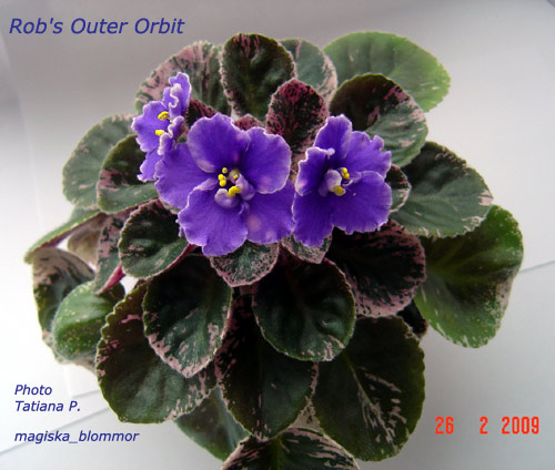  Rob's Outer Orbit 
