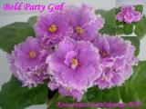 Фиалка Bold Party Girl