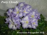 Фиалка Partly Cloudy