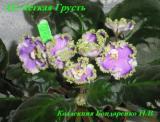 Фиалка ЛЕ-Легкая Грусть