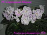 Фиалка РС-Сиреневый Мираж
