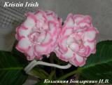 Глоксиния Kristin Irish