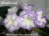 Глоксиния Изабель