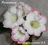 Глоксиния Розалинда