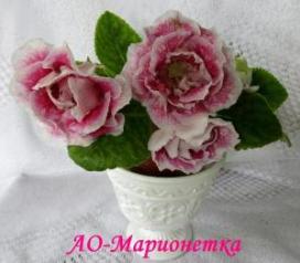 Глоксиния АО-Марионетка
