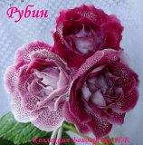 Глоксиния Рубин