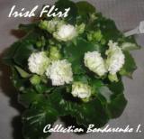 Фиалка Irish Flirt
