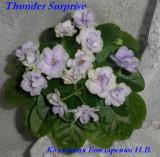Фиалка Thunder Surprise