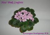 Фиалка Ness' Pink Confetti