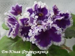 Фиалка Dn-Юная Француженка
